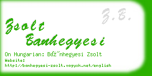 zsolt banhegyesi business card